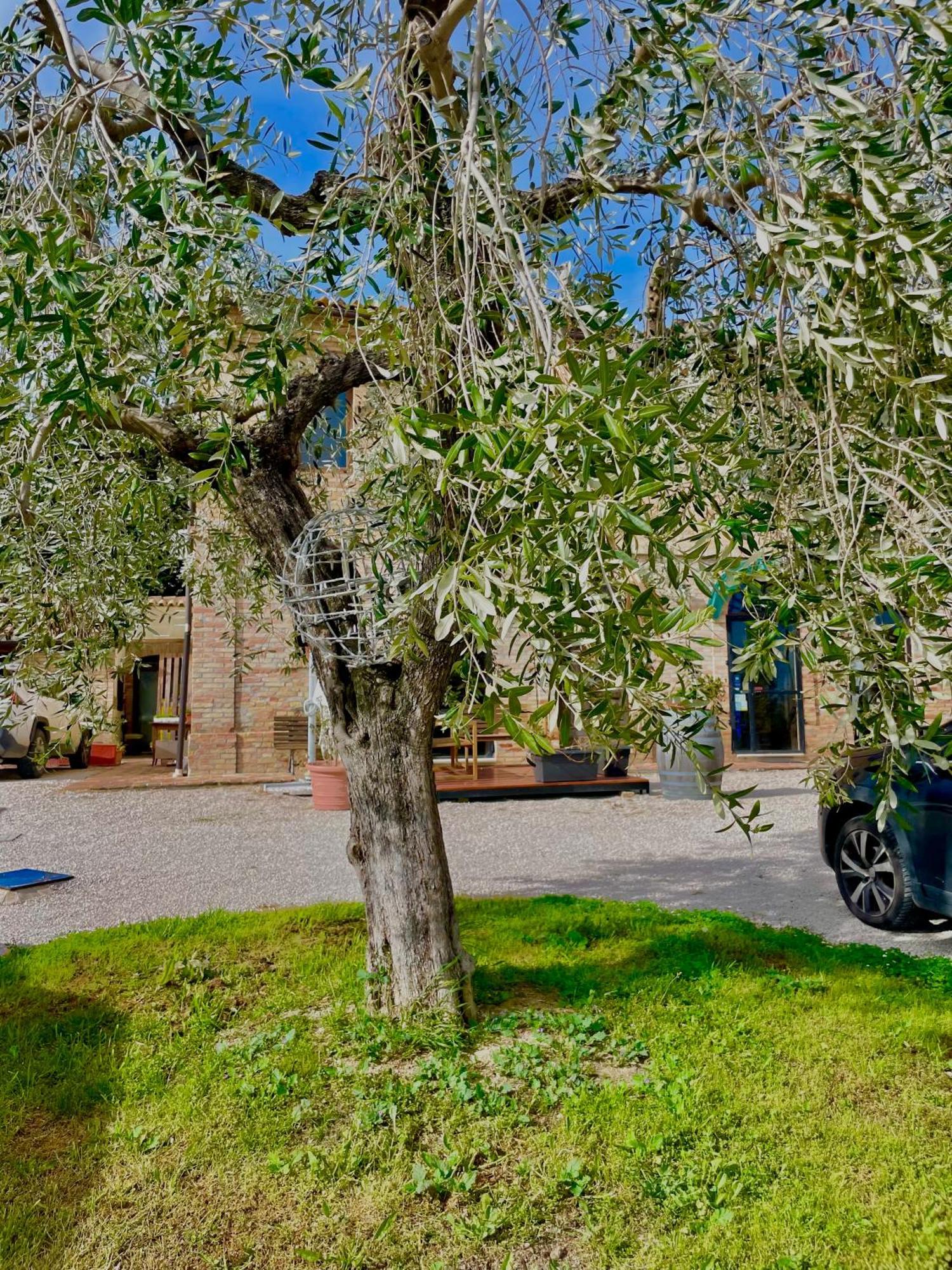 Masseria Tattoni - Residenza Di Campagna - Narramondo Villas Bellante Exterior foto